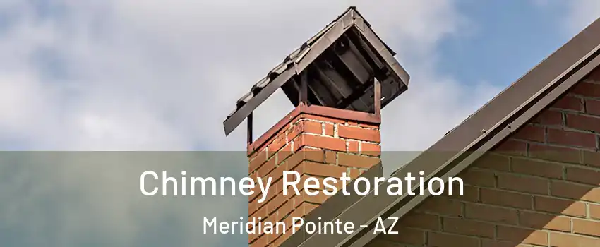 Chimney Restoration Meridian Pointe - AZ