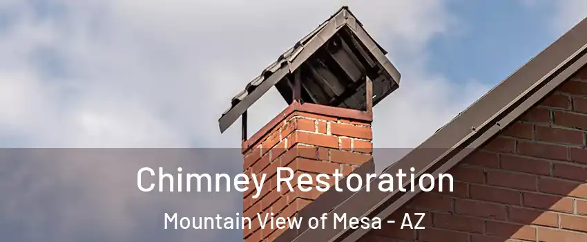 Chimney Restoration Mountain View of Mesa - AZ