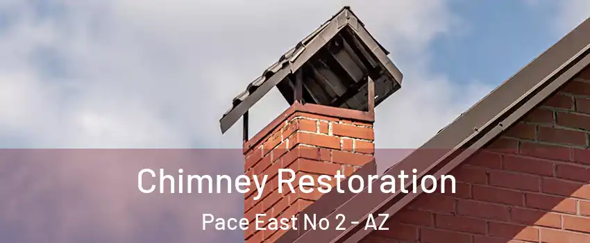 Chimney Restoration Pace East No 2 - AZ