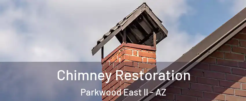Chimney Restoration Parkwood East II - AZ