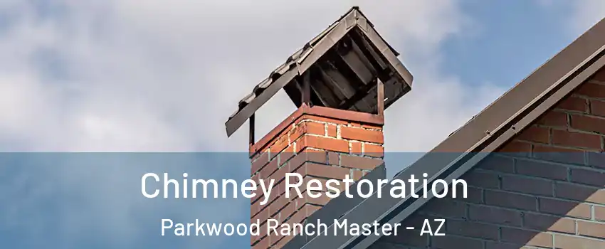 Chimney Restoration Parkwood Ranch Master - AZ