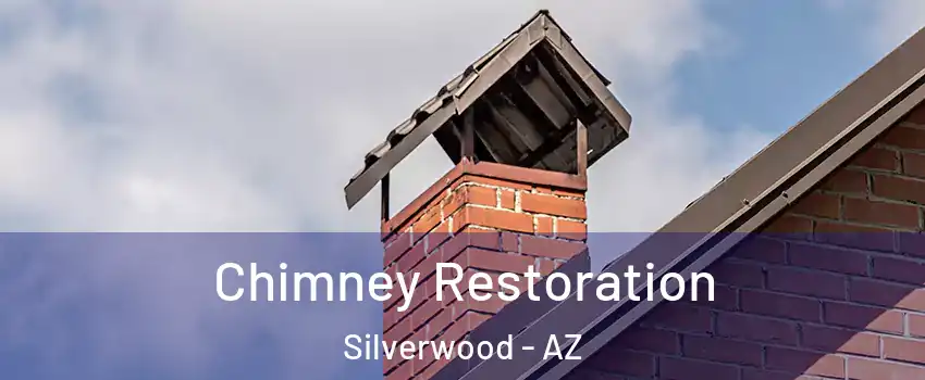 Chimney Restoration Silverwood - AZ