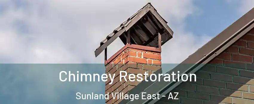 Chimney Restoration Sunland Village East - AZ