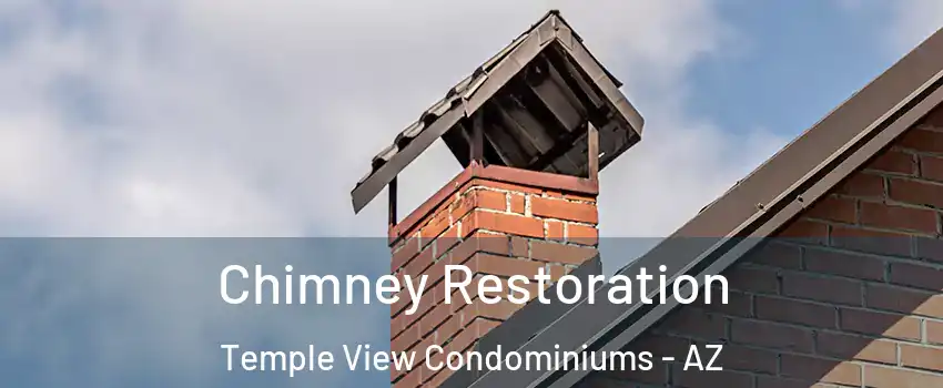 Chimney Restoration Temple View Condominiums - AZ
