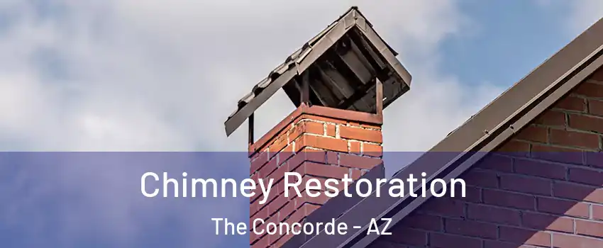 Chimney Restoration The Concorde - AZ