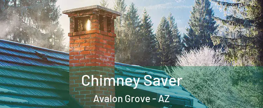 Chimney Saver Avalon Grove - AZ