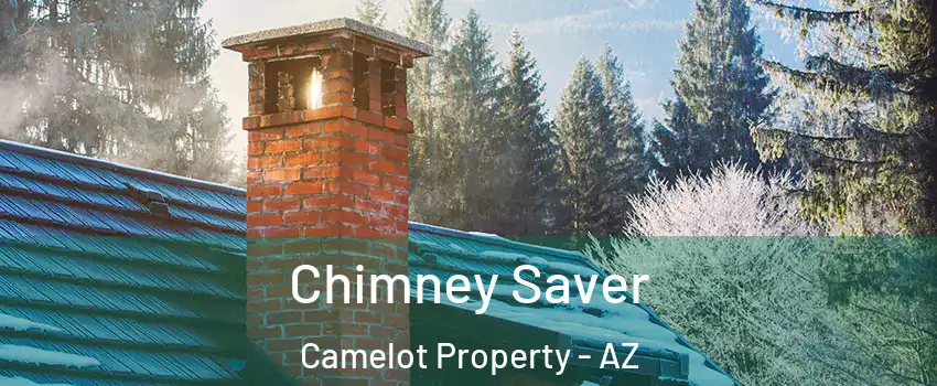 Chimney Saver Camelot Property - AZ