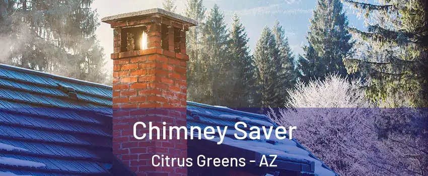 Chimney Saver Citrus Greens - AZ