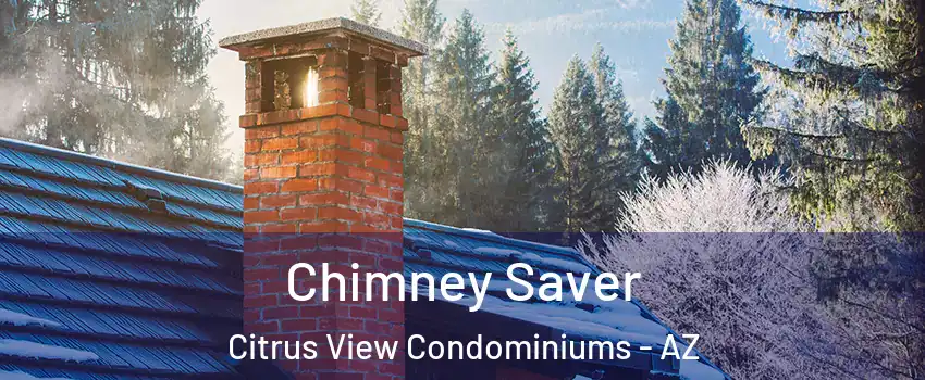 Chimney Saver Citrus View Condominiums - AZ