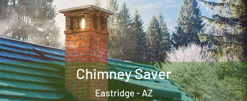 Chimney Saver Eastridge - AZ