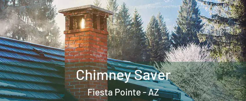 Chimney Saver Fiesta Pointe - AZ