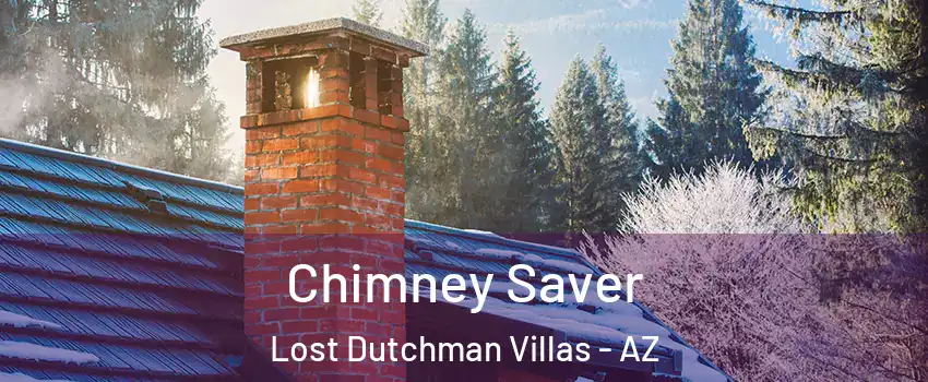 Chimney Saver Lost Dutchman Villas - AZ
