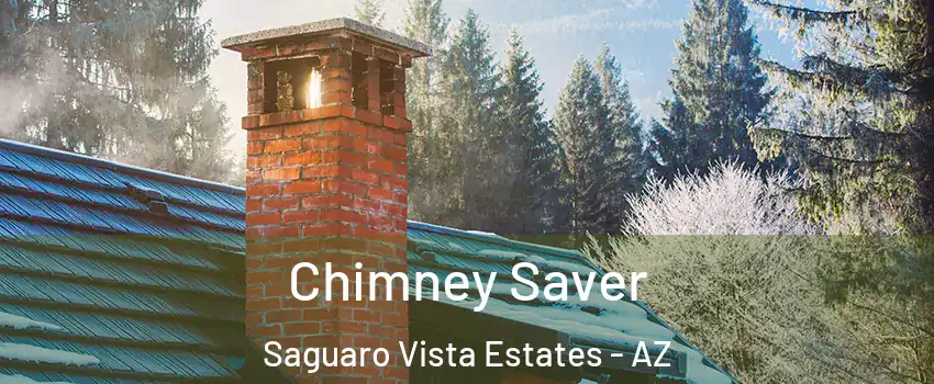 Chimney Saver Saguaro Vista Estates - AZ