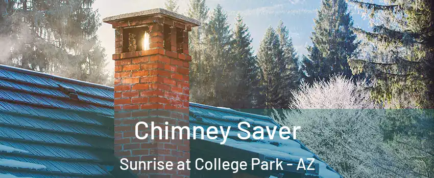Chimney Saver Sunrise at College Park - AZ