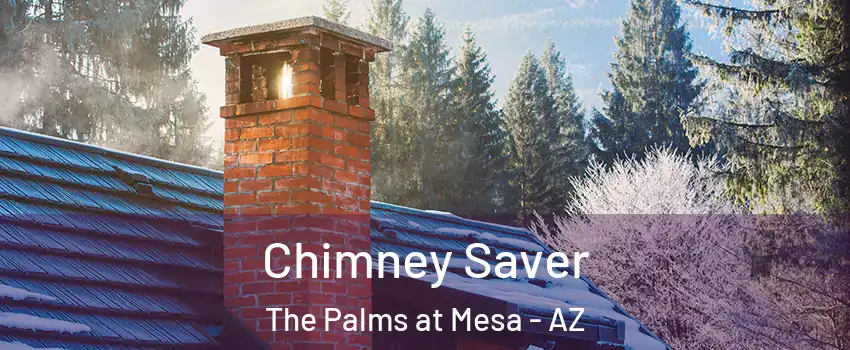 Chimney Saver The Palms at Mesa - AZ