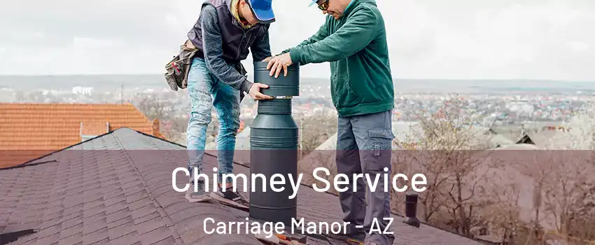 Chimney Service Carriage Manor - AZ