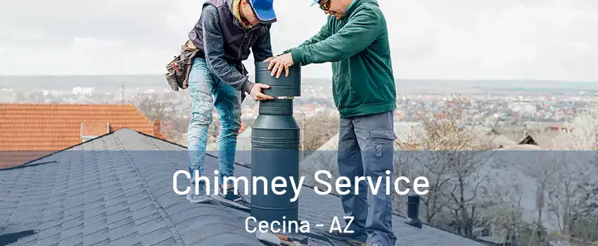 Chimney Service Cecina - AZ