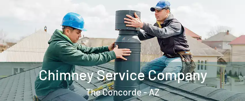Chimney Service Company The Concorde - AZ