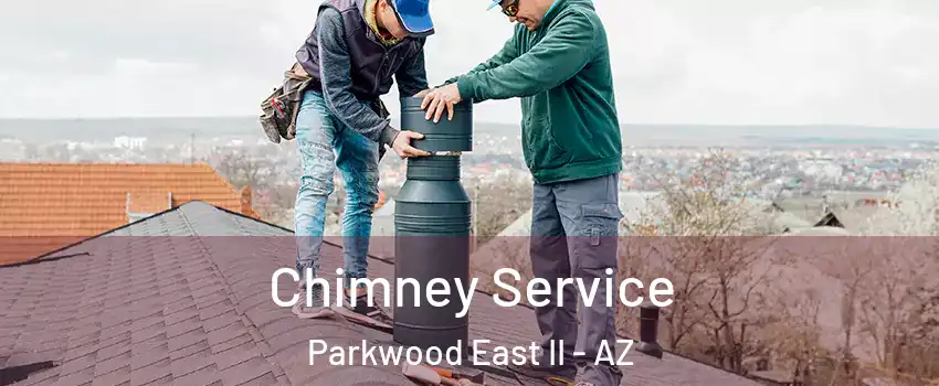Chimney Service Parkwood East II - AZ