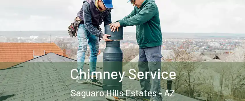 Chimney Service Saguaro Hills Estates - AZ
