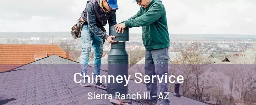 Chimney Service Sierra Ranch III - AZ