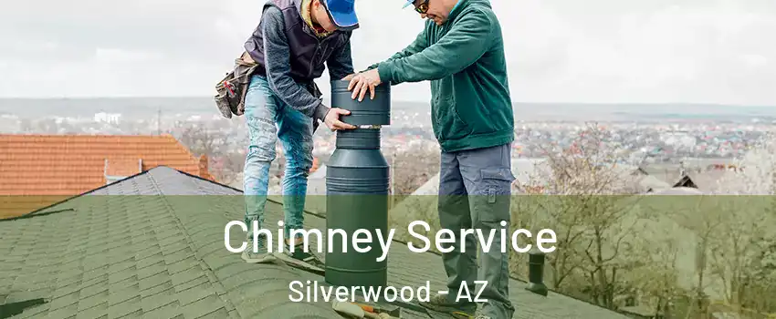 Chimney Service Silverwood - AZ