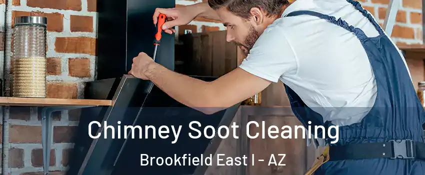 Chimney Soot Cleaning Brookfield East I - AZ