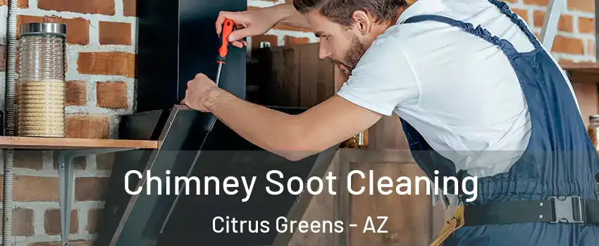 Chimney Soot Cleaning Citrus Greens - AZ