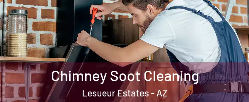 Chimney Soot Cleaning Lesueur Estates - AZ