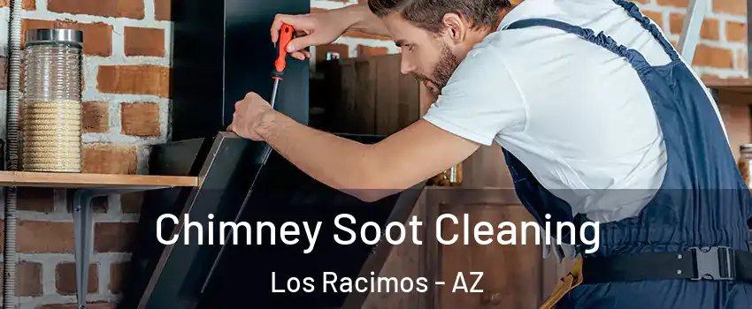 Chimney Soot Cleaning Los Racimos - AZ