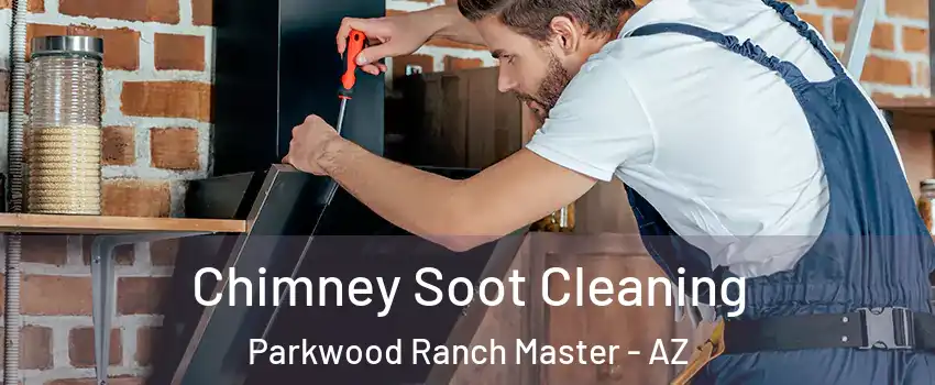Chimney Soot Cleaning Parkwood Ranch Master - AZ