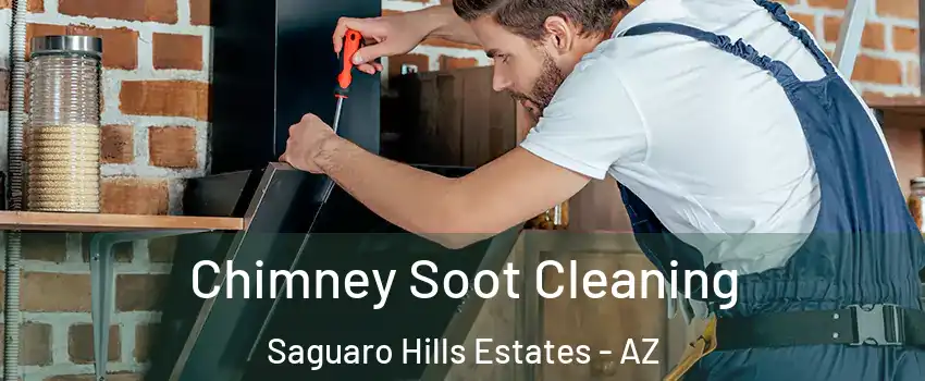 Chimney Soot Cleaning Saguaro Hills Estates - AZ
