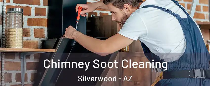 Chimney Soot Cleaning Silverwood - AZ