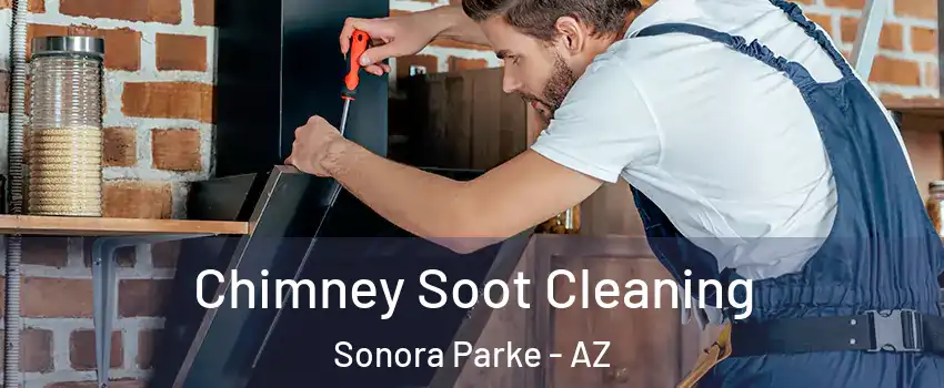 Chimney Soot Cleaning Sonora Parke - AZ
