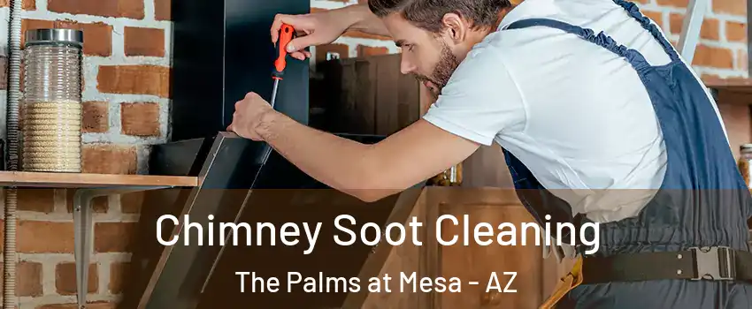 Chimney Soot Cleaning The Palms at Mesa - AZ