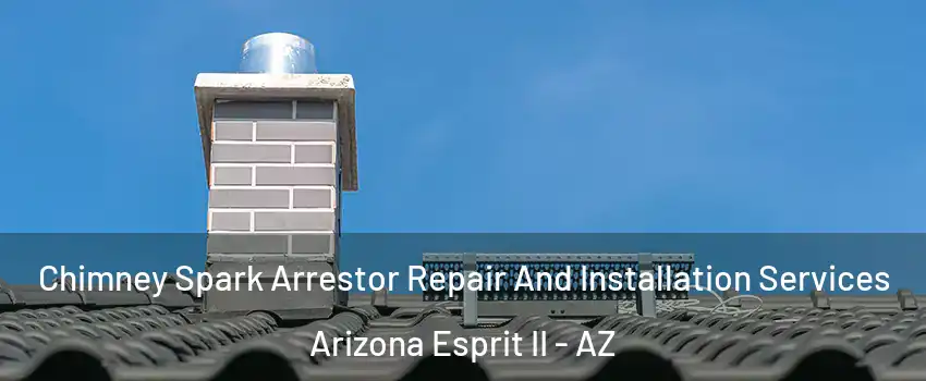 Chimney Spark Arrestor Repair And Installation Services Arizona Esprit II - AZ