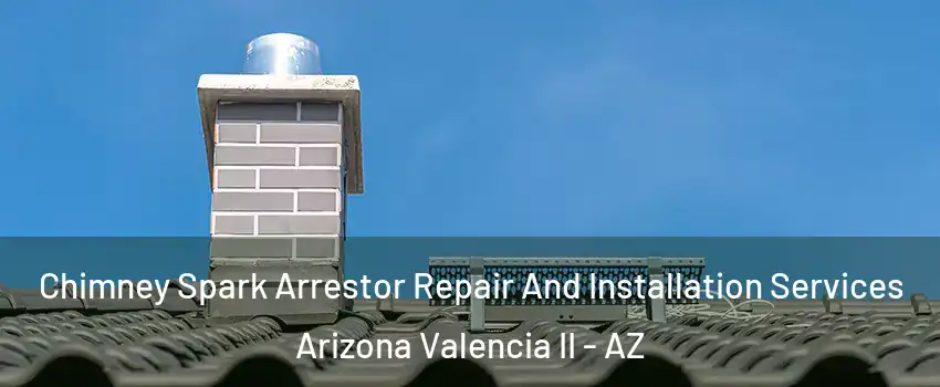 Chimney Spark Arrestor Repair And Installation Services Arizona Valencia II - AZ