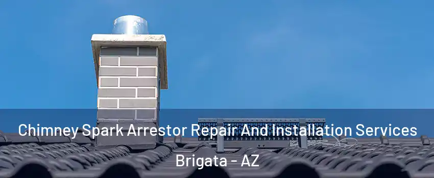 Chimney Spark Arrestor Repair And Installation Services Brigata - AZ