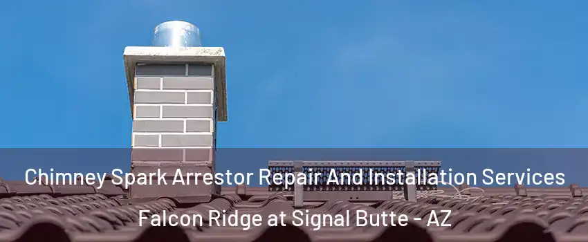 Chimney Spark Arrestor Repair And Installation Services Falcon Ridge at Signal Butte - AZ