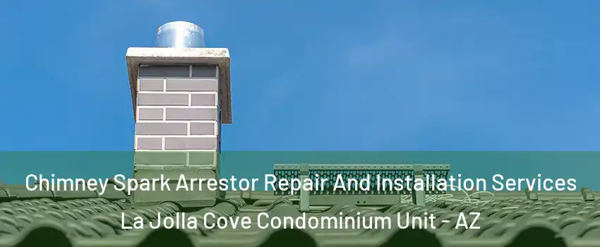 Chimney Spark Arrestor Repair And Installation Services La Jolla Cove Condominium Unit - AZ