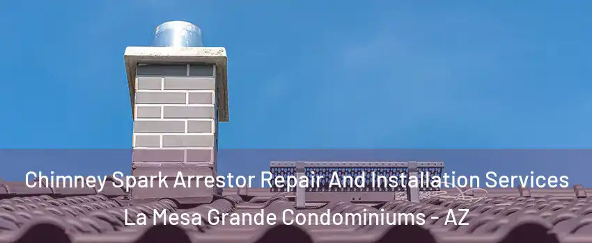 Chimney Spark Arrestor Repair And Installation Services La Mesa Grande Condominiums - AZ
