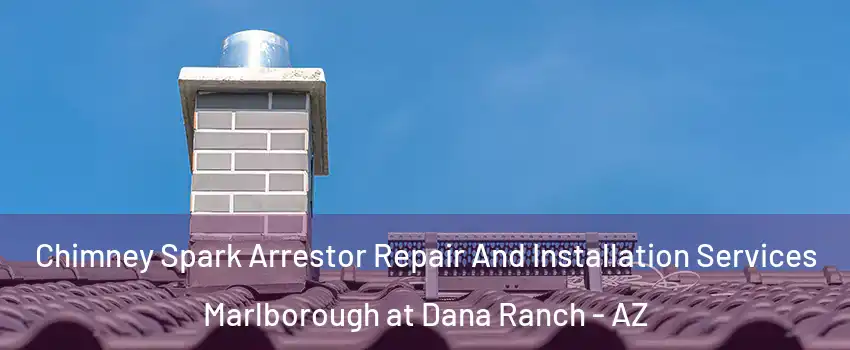 Chimney Spark Arrestor Repair And Installation Services Marlborough at Dana Ranch - AZ