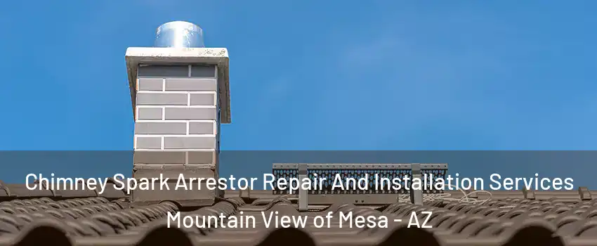 Chimney Spark Arrestor Repair And Installation Services Mountain View of Mesa - AZ