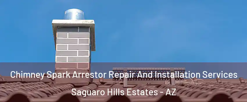 Chimney Spark Arrestor Repair And Installation Services Saguaro Hills Estates - AZ