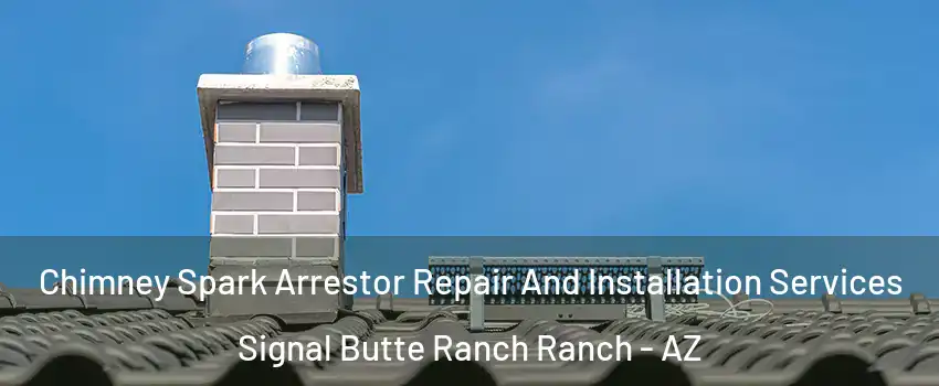 Chimney Spark Arrestor Repair And Installation Services Signal Butte Ranch Ranch - AZ