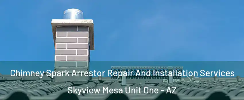Chimney Spark Arrestor Repair And Installation Services Skyview Mesa Unit One - AZ