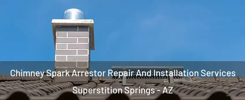 Chimney Spark Arrestor Repair And Installation Services Superstition Springs - AZ
