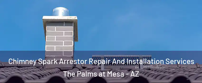 Chimney Spark Arrestor Repair And Installation Services The Palms at Mesa - AZ