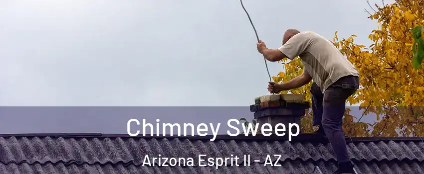 Chimney Sweep Arizona Esprit II - AZ