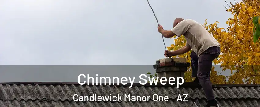 Chimney Sweep Candlewick Manor One - AZ